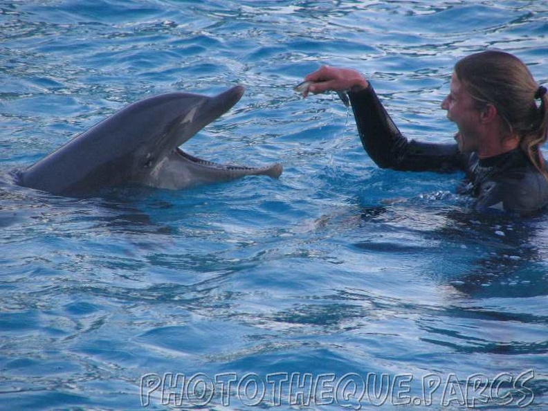 marineland_2005_2180.jpg