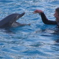 marineland 2005 2180