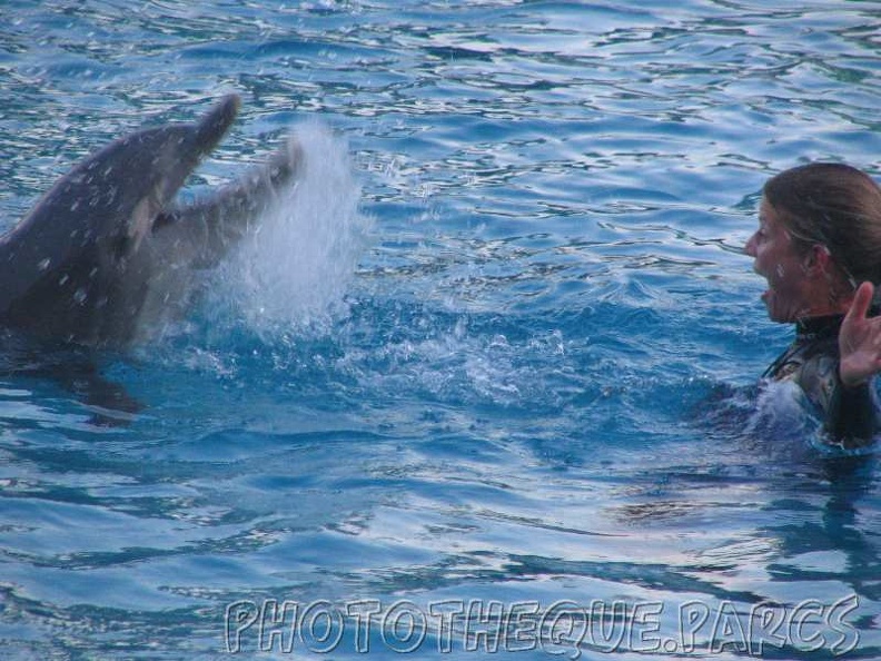 marineland 2005 2181