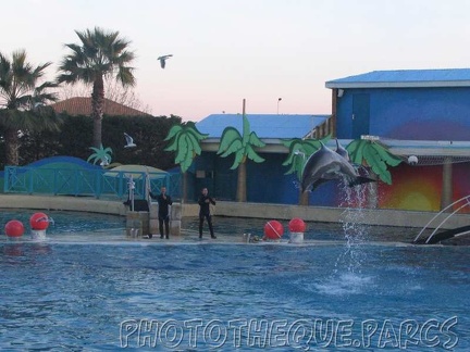 marineland 2005 2189