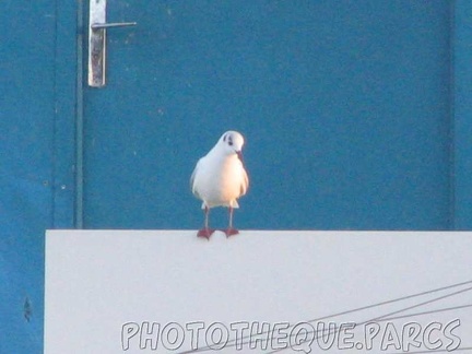 marineland 2005 2230