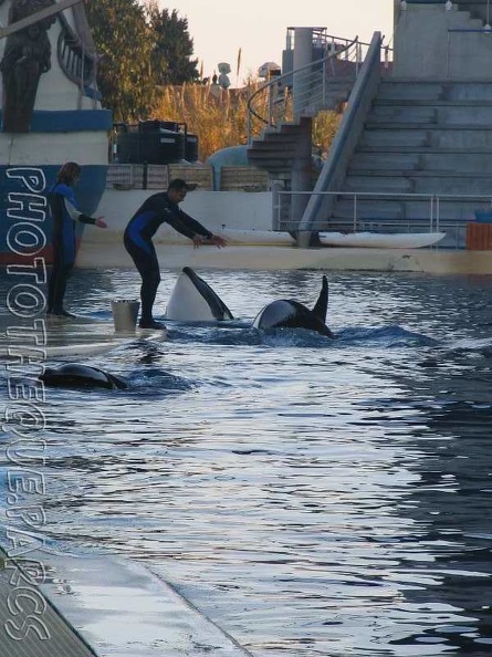 marineland 2005 2083