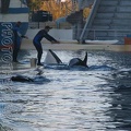 marineland 2005 2083