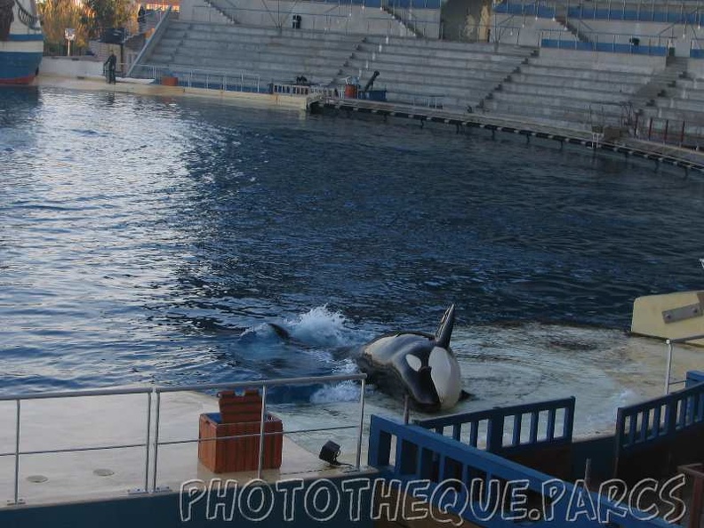 marineland 2005 2084