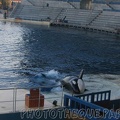 marineland 2005 2084