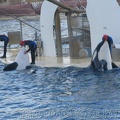 marineland 2005 2054