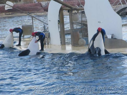 marineland 2005 2054