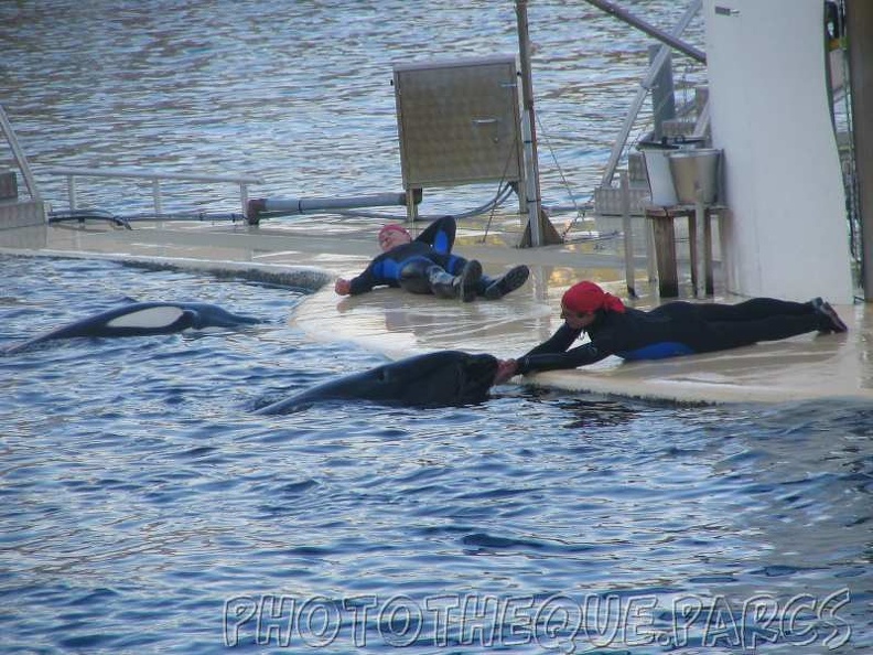 marineland 2005 2055