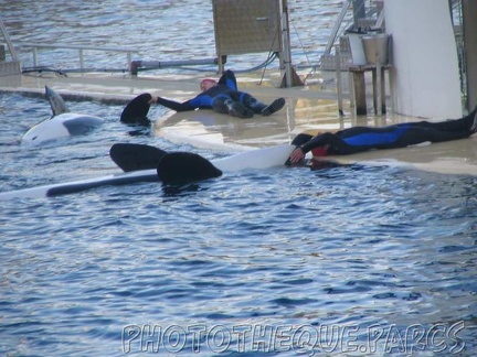 marineland 2005 2056