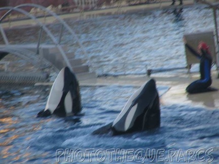 marineland 2005 2057