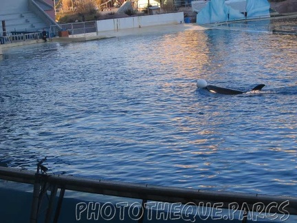 marineland 2005 2059