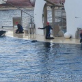 marineland 2005 2060