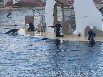 marineland 2005 2060