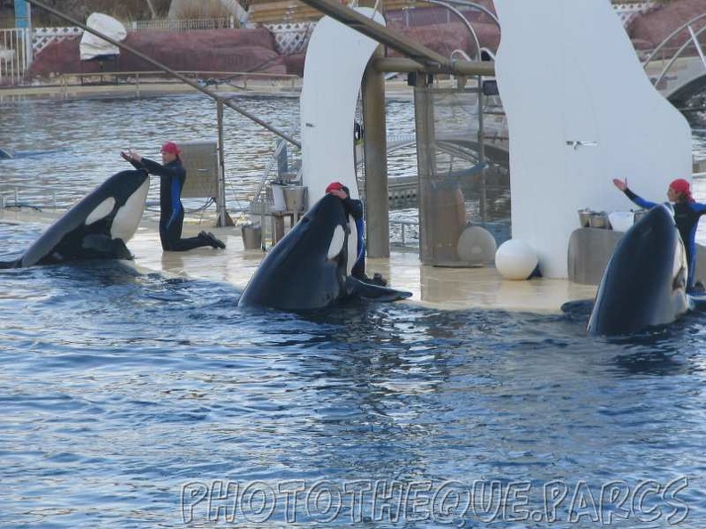 marineland 2005 2061