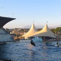 marineland 2005 2063