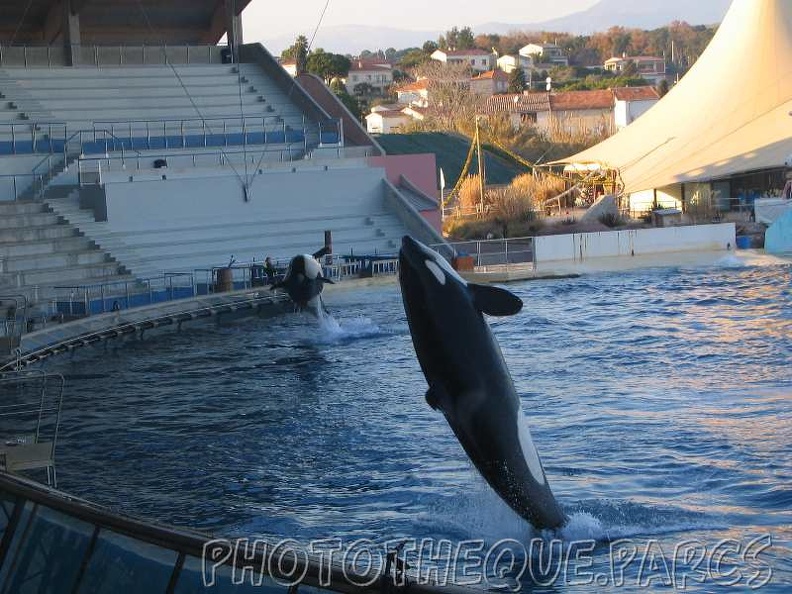 marineland_2005_2064.jpg