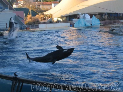 marineland 2005 2065