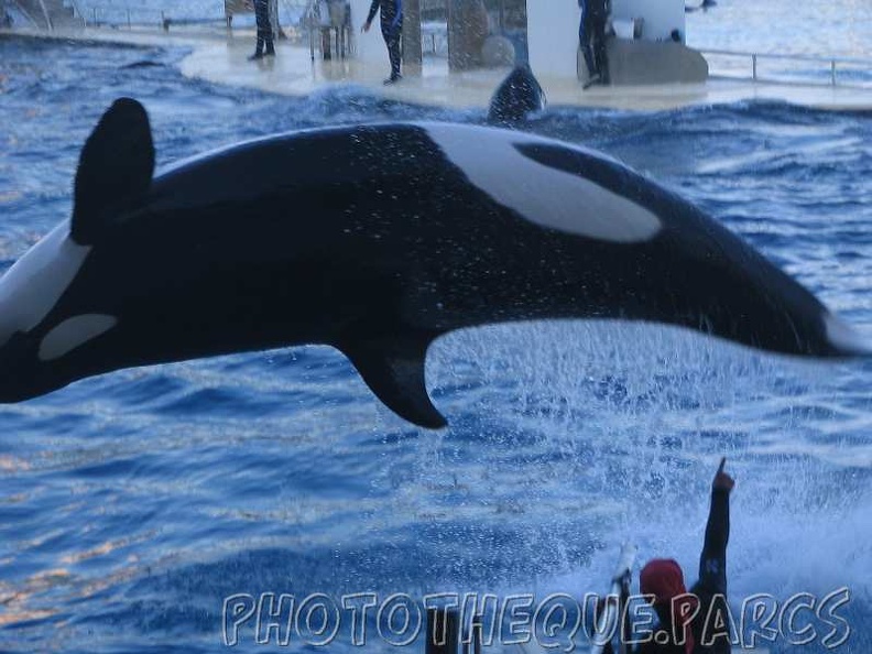 marineland_2005_2067.jpg