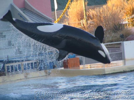 marineland 2005 2069