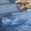 marineland 2005 2071