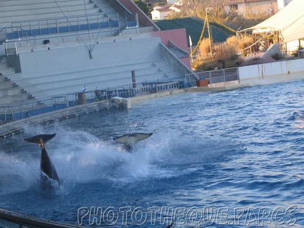 marineland 2005 2071