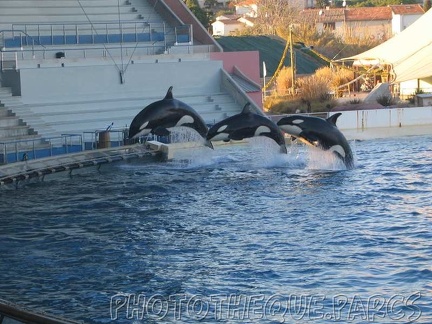 marineland 2005 2072