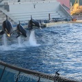 marineland 2005 2073