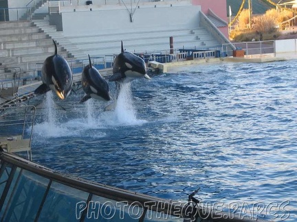 marineland 2005 2073