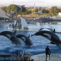 marineland_2005_2074.jpg