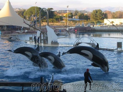 marineland 2005 2074