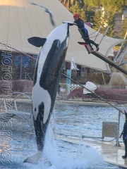 marineland 2005 2075