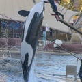 marineland_2005_2075.jpg