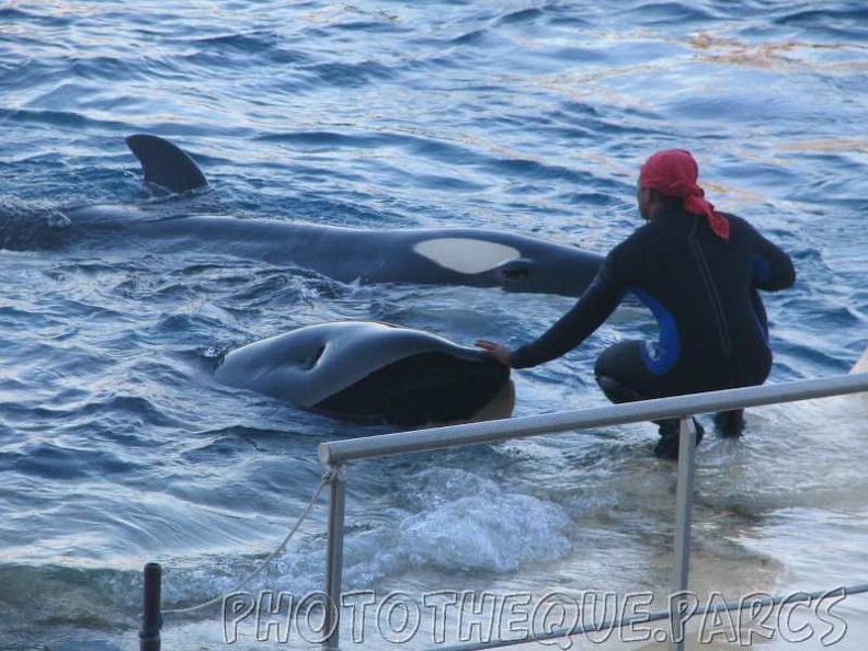 marineland 2005 2077