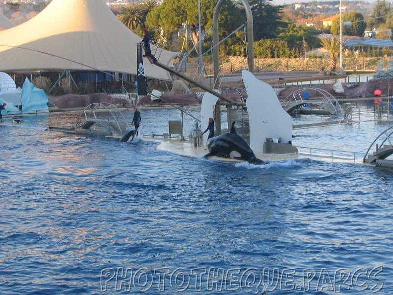 marineland_2005_2078.jpg