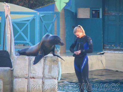 marineland 2005 2199