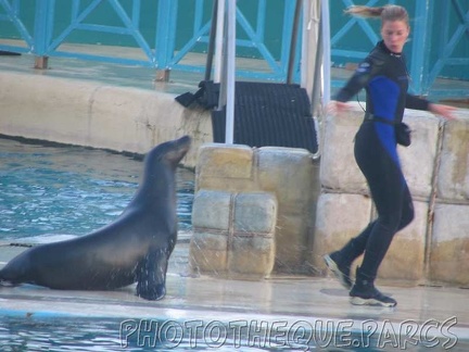 marineland 2005 2208