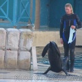 marineland 2005 2210