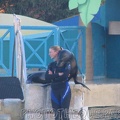 marineland_2005_2212.jpg