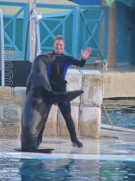 marineland_2005_2214.jpg