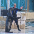 marineland_2005_2214.jpg