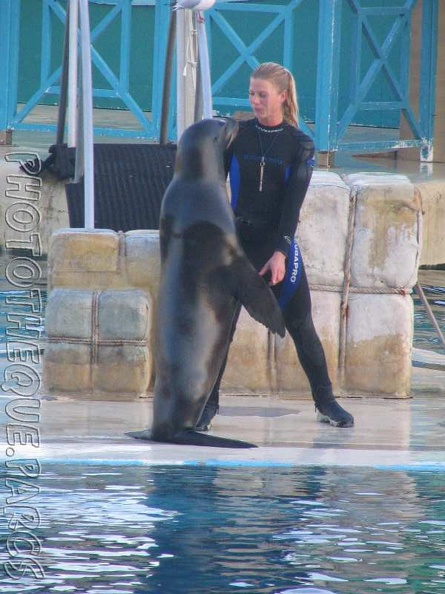 marineland_2005_2215.jpg