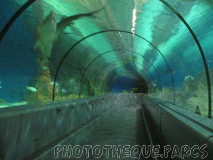 marineland 2005 2039