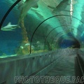 marineland 2005 2040