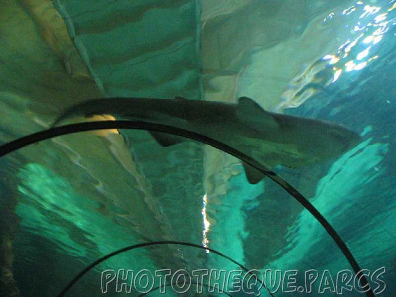 marineland_2005_2041.jpg