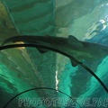 marineland_2005_2041.jpg