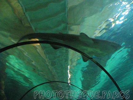 marineland 2005 2041