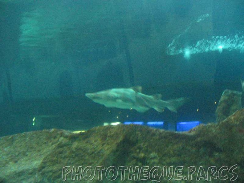 marineland 2005 2043