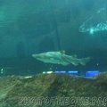 marineland 2005 2043