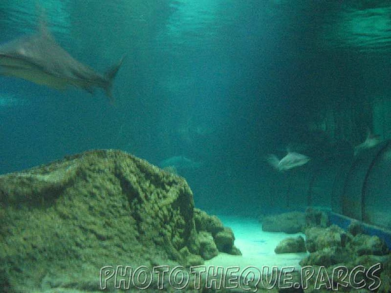 marineland 2005 2044