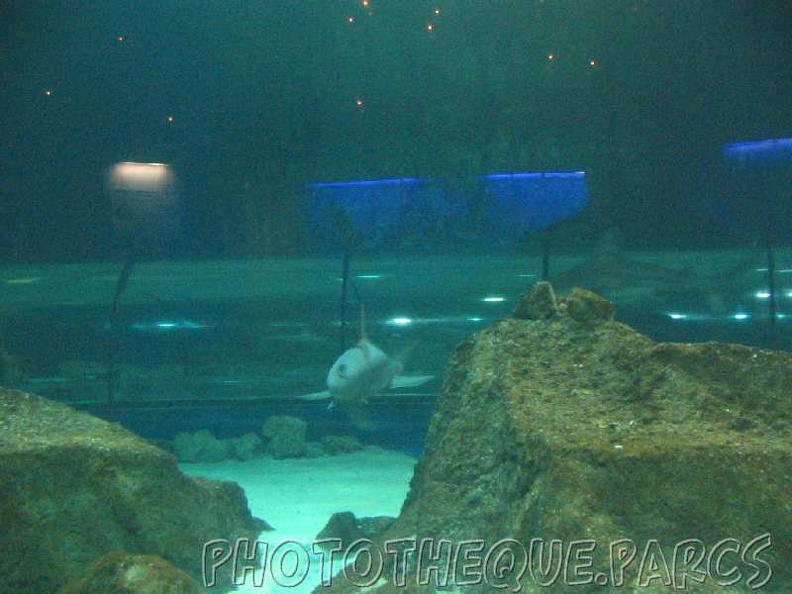 marineland 2005 2045